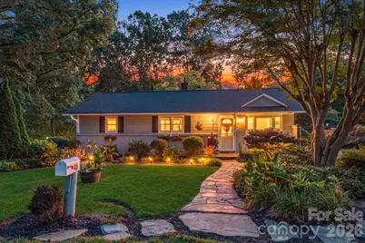 49 White Pine Drive, Asheville, NC 28805 - Photo 1