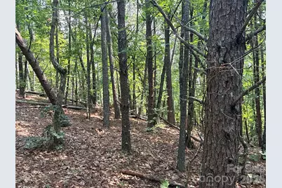242 Golden Creek Ridge, Union Mills, NC 28167 - Photo 1