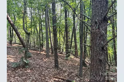 242 Golden Creek Ridge, Union Mills, NC 28167 - Photo 2