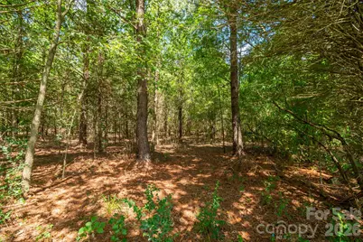 0 Harkey Road #0, Waxhaw, NC 28173 - Photo 16