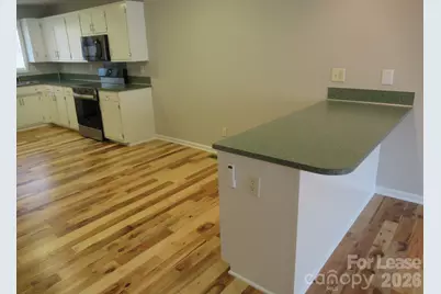 822 Horseshoe Lake Road, Lincolnton, NC 28092 - Photo 8