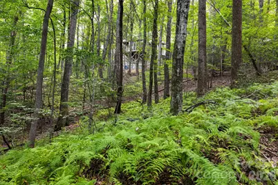 22 Wild Violet Lane, Arden, NC 28704 - Photo 46