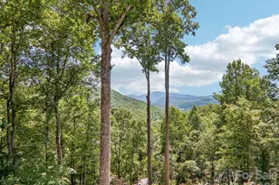 16 Hobe Crest, Hendersonville, NC 28792 - Photo 38
