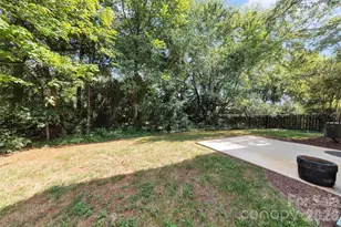 9132 Royal Highlands Ct, Charlotte, NC 28277 - Photo 38