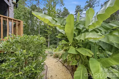 256 Litaker Lane, Concord, NC 28025 - Photo 32