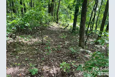6792 Silver Creek Lane, Morganton, NC 28655 - Photo 4