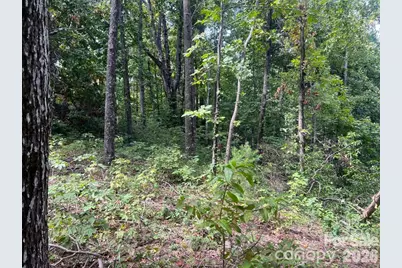 6792 Silver Creek Lane, Morganton, NC 28655 - Photo 2