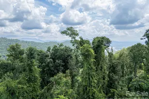 647 Town Mountain Rd, Asheville, NC 28804 - Photo 20