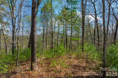 V/L Heartwood Forest Drive #26 & 27, Collettsville, NC 28611 - Photo 18