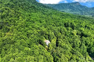 767 Hunnicut Mountain Rd, Marion, NC 28752 - Photo 2