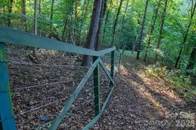 2437 S Rosedale Drive, Lenoir, NC 28630 - Photo 28