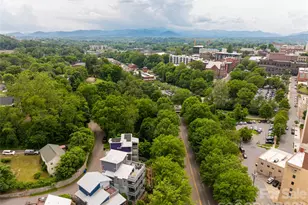 8 Birdhouse Row, Asheville, NC 28801 - Photo 44