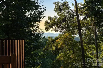34 Bee Balm Way, Asheville, NC 28804 - Photo 38