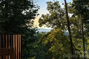 34 Bee Balm Wy, Asheville, NC 28804 - Photo 38