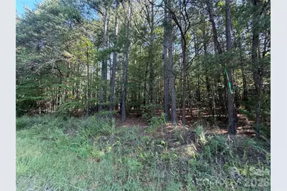 175 Old Morganton Road, Union Mills, NC 28167 - Photo 4