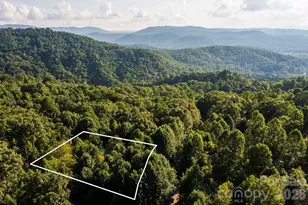 000 Ivywood Ln, Laurel Park, NC 28739 - Photo 1