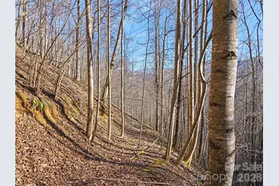 00 Lotties Creek Road, Burnsville, NC 28714 - Photo 8