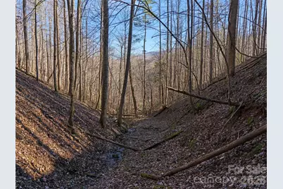 00 Lotties Creek Road, Burnsville, NC 28714 - Photo 4