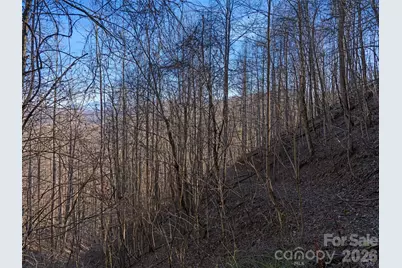 00 Lotties Creek Road, Burnsville, NC 28714 - Photo 6