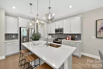 217 Landy Street, Fort Mill, SC 29715 - Photo 8