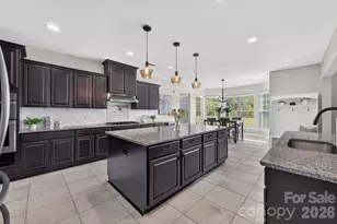 15110 Brannock Hills Dr, Charlotte, NC 28278 - Photo 2