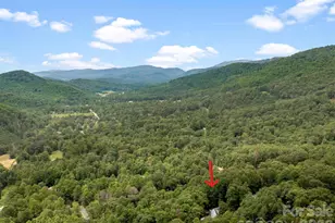 41 Bear Trail, Fairview, NC 28730 - Photo 38
