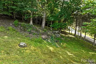 299 McDowell Ln, Burnsville, NC 28714 - Photo 48