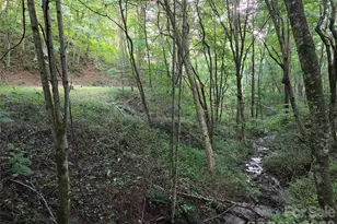 00 Creekside Dr, Maggie Valley, NC 28751 - Photo 1