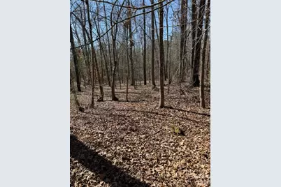 7155 Hwy 74 Highway E, Lilesville, NC 28091 - Photo 26
