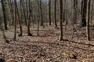 7155 Hwy 74 Hwy E, Lilesville, NC 28091 - Photo 26