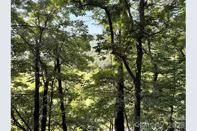 115 Knoll Ridge Lane, Waynesville, NC 28785 - Photo 28