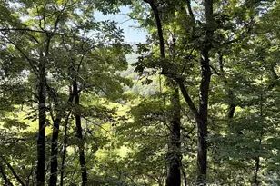 115 Knoll Ridge Ln, Waynesville, NC 28785 - Photo 28