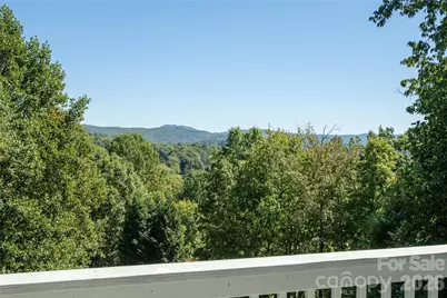 219 Greens View Drive, Horse Shoe, NC 28742 - Photo 2