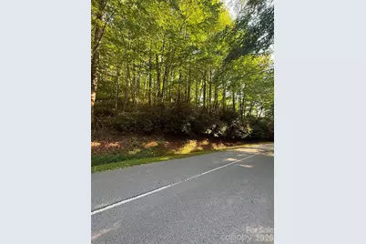Tbd Usdasdi Drive, Brevard, NC 28712 - Photo 8