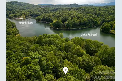 Tbd Usdasdi Drive, Brevard, NC 28712 - Photo 1