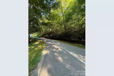 Tbd Usdasdi Drive, Brevard, NC 28712 - Photo 6