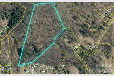 00 Crab Apple Drive, Burnsville, NC 28714 - Photo 2