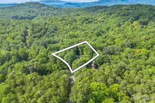 107 Wilkerson Ct, Lake Lure, NC 28746 - Photo 30