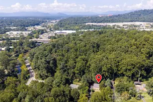 65 Beechwood Rd, Asheville, NC 28805 - Photo 30