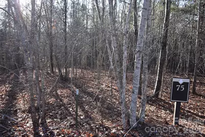 Lot 75 Tayberry Drive, Nebo, NC 28761 - Photo 8
