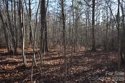 Lot 75 Tayberry Drive, Nebo, NC 28761 - Photo 6