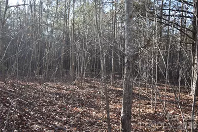Lot 75 Tayberry Drive, Nebo, NC 28761 - Photo 4