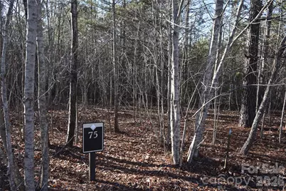 Lot 75 Tayberry Drive, Nebo, NC 28761 - Photo 1