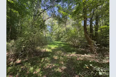 None Laboratory Road, Lincolnton, NC 28092 - Photo 12