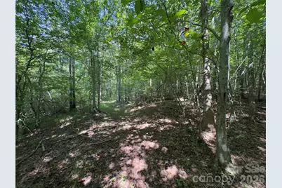 None Laboratory Road, Lincolnton, NC 28092 - Photo 18