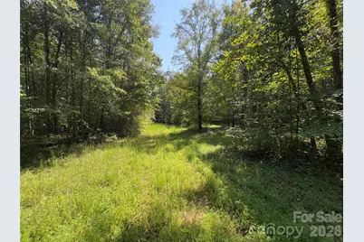 None Laboratory Road, Lincolnton, NC 28092 - Photo 24