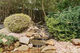 945 Rock Forest Way, Indian Land, SC 29707 - Photo 40