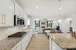 3014 Oxtail Ct, Rock Hill, SC 29732 - Photo 8