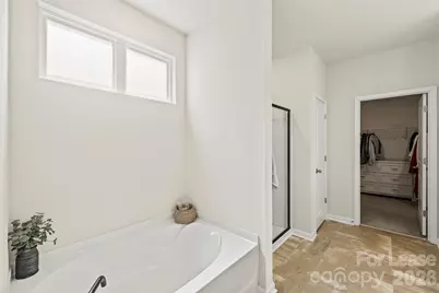 3014 Oxtail Court #145, Rock Hill, SC 29732 - Photo 46