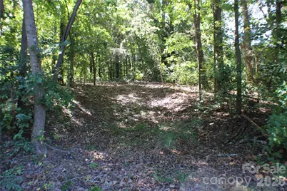0000 Fairfield Forest Road, Denver, NC 28037 - Photo 4